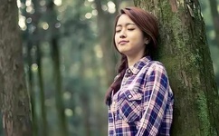 豆丁网 免费下载